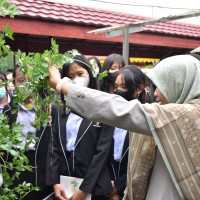 Kegiatan Outdoor Study Kelas XII Akutansi ke BSIP Riau | SMK METTA MAITREYA